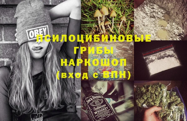 гидропоника Александровское