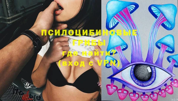 ГАЛЛЮЦИНОГЕННЫЕ ГРИБЫ Алексеевка